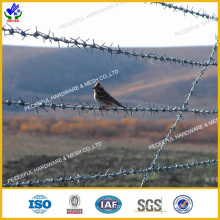 Galvanized Barbed Iron Wire (HPRW-0606)